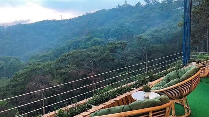 da-lat-nhu-gio-mong-2