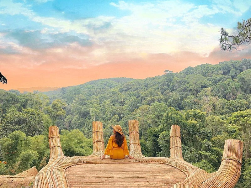 lac-vao-thien-duong-co-tich-tai-da-lat-mo-suong-4