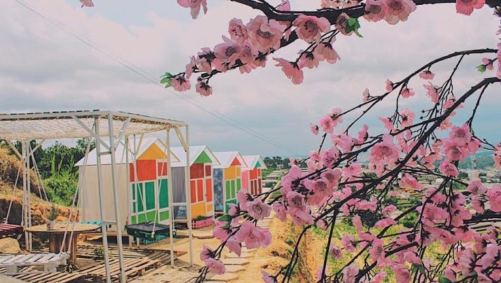 lac-vao-thien-duong-co-tich-tai-da-lat-mo-suong-7