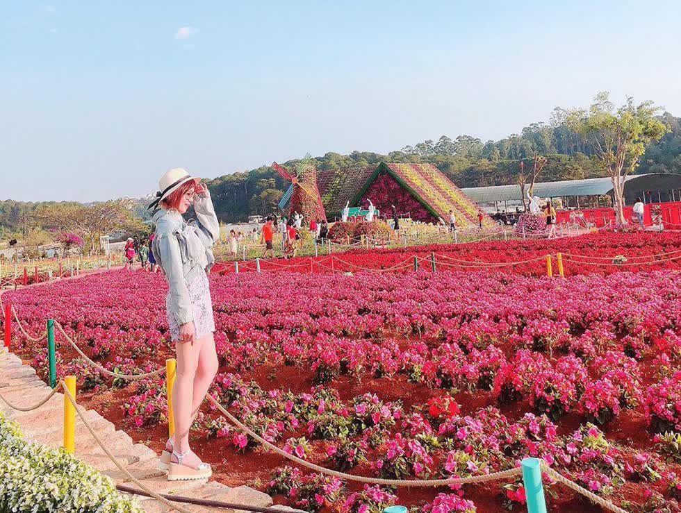 lac-vao-thien-duong-co-tich-tai-da-lat-mo-suong-9