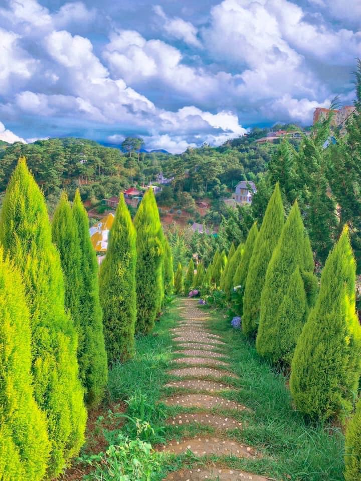 5-homestay-phong-cach-la-tai-da-lat-19