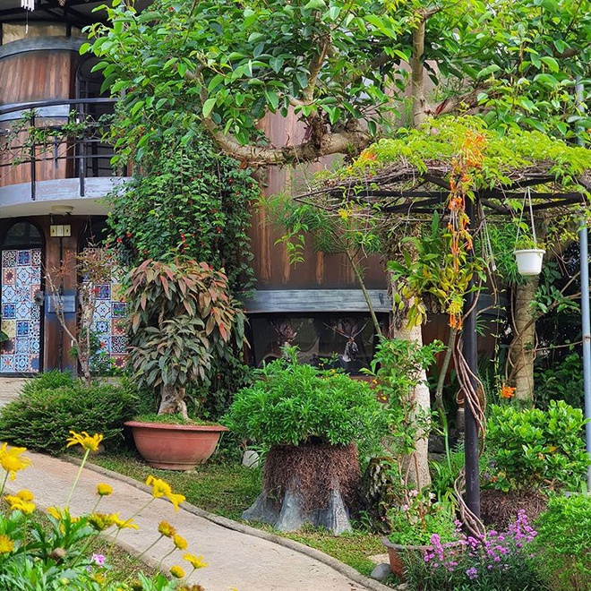 5-homestay-phong-cach-la-tai-da-lat-6