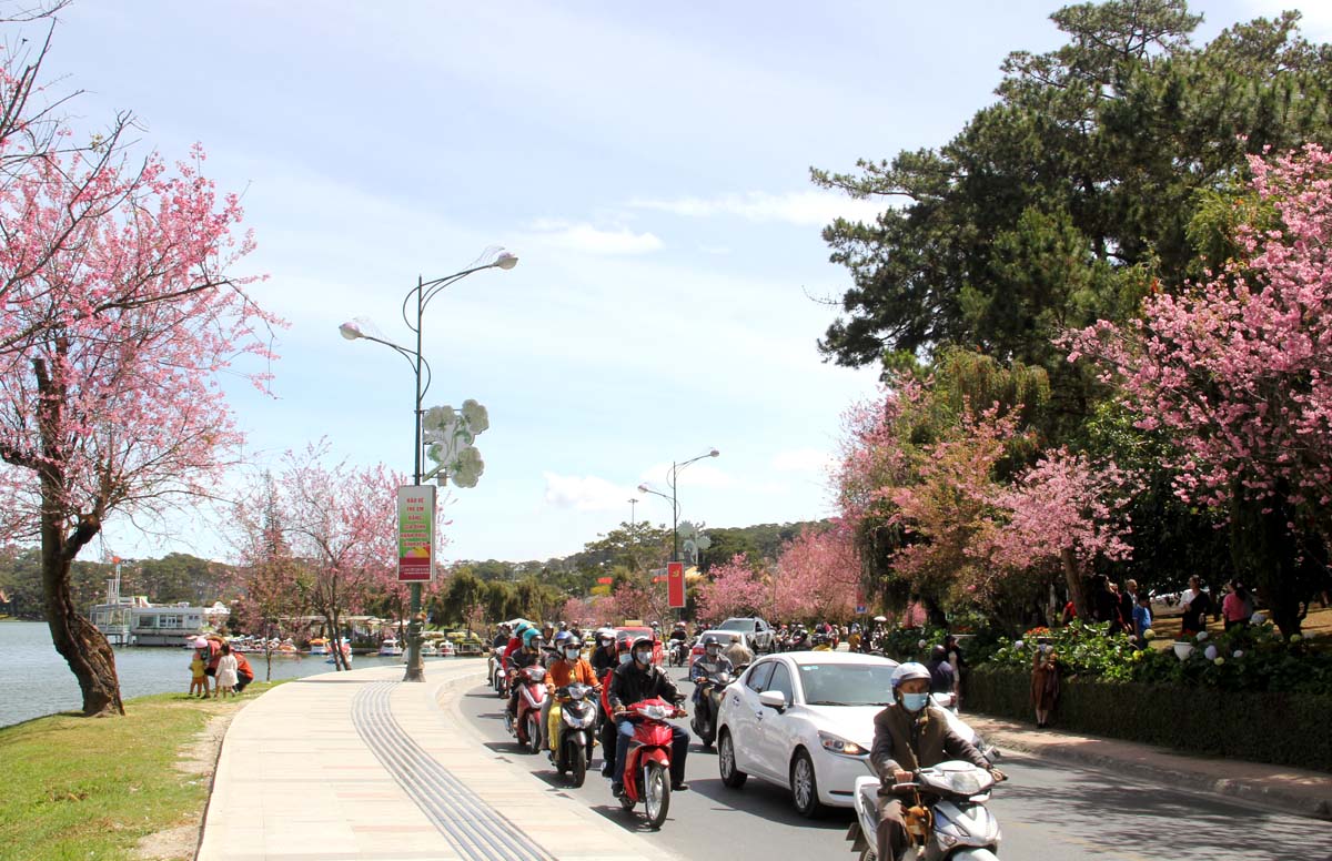 nong-nan-sac-xuan-pho-nui-da-lat-1