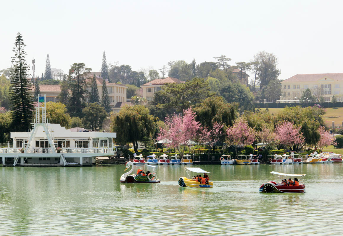 nong-nan-sac-xuan-pho-nui-da-lat-11