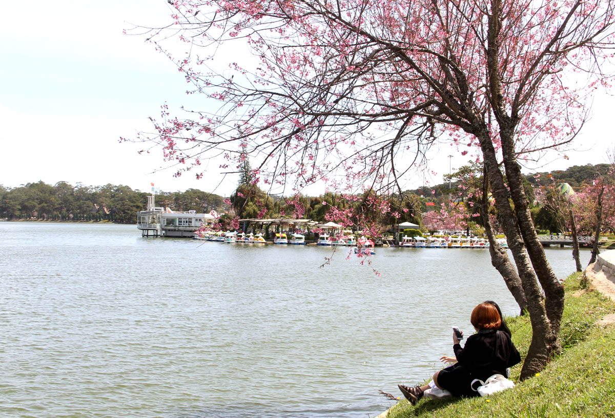 nong-nan-sac-xuan-pho-nui-da-lat-12