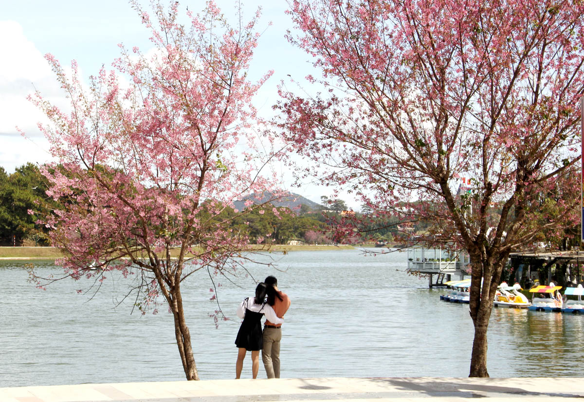 nong-nan-sac-xuan-pho-nui-da-lat-14