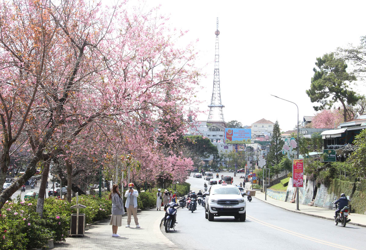 nong-nan-sac-xuan-pho-nui-da-lat-15
