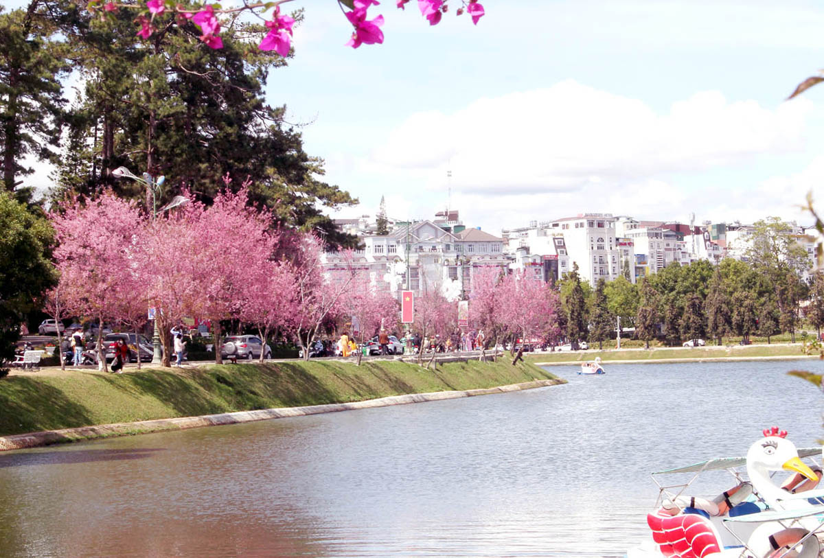 nong-nan-sac-xuan-pho-nui-da-lat-5