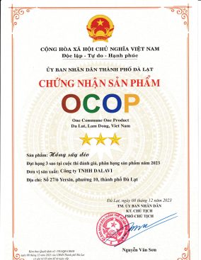 Mua sỉ hồng dẻo nguyên trái, hồng chẻ miếng giá tốt cho đối tác 