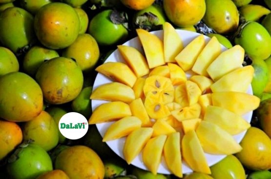 Chuyên sỉ hồng giòn Đà Lạt chất lượng cao, giá tốt cho các đối tác