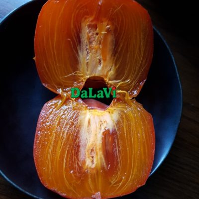 HỒNG TÁM HẢI ĐÀ LẠT