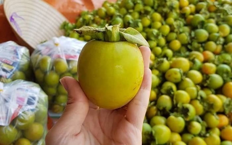 Chuyên sỉ hồng giòn Đà Lạt chất lượng cao, giá tốt cho các đối tác