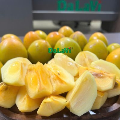 HỒNG GIÒN ĐÀ LẠT