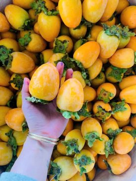 Top các giống quả hồng Đà Lạt thơm ngon, được săn đón