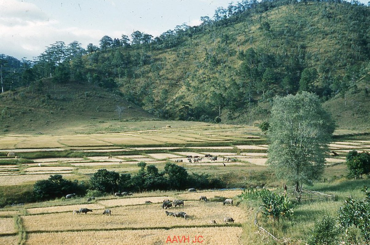 loat-anh-hiem-co-kho-tim-ve-da-lat-mong-mo-nam-1959-8