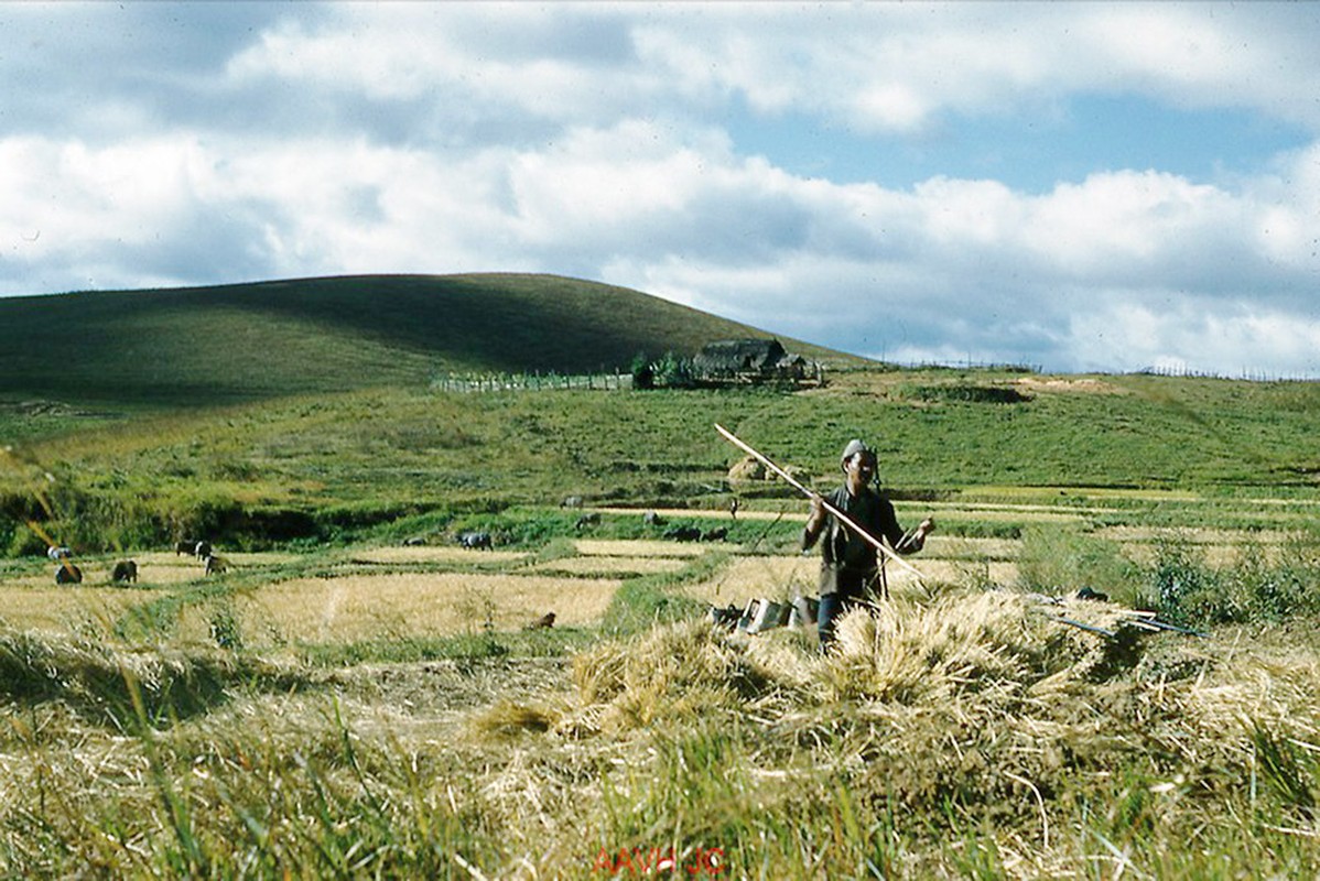 loat-anh-hiem-co-kho-tim-ve-da-lat-mong-mo-nam-1959-9