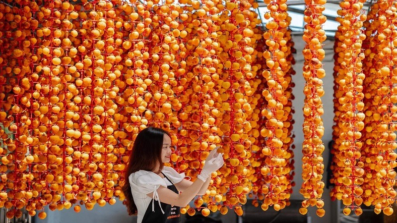 Phân biệt hồng treo gió ngon và hồng treo gió kém chất lượng 