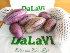 Dưa Pepino tím