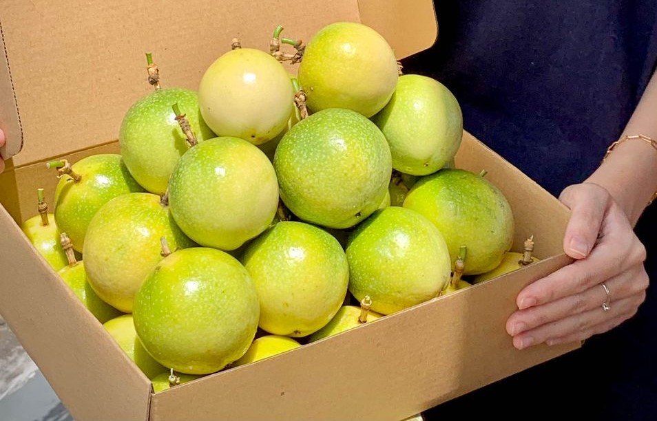 Tổng hợp đặc sản Lâm Đồng đầy đủ nhất không nên bỏ lỡ