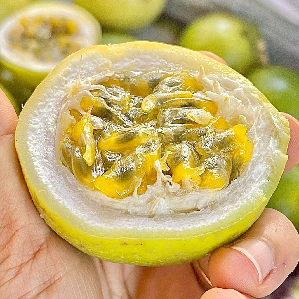 Chanh dây Lâm Đồng có mấy loại, mua ở đâu uy tín?