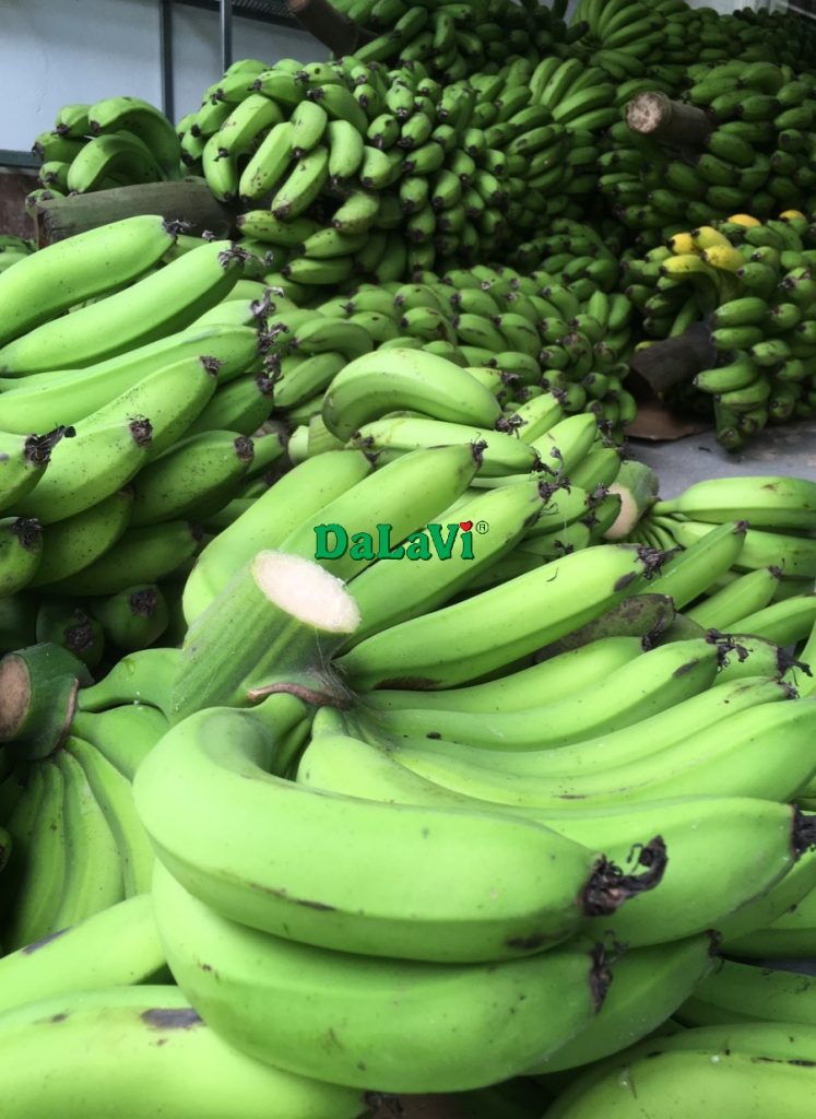 Tổng hợp đặc sản Lâm Đồng đầy đủ nhất không nên bỏ lỡ