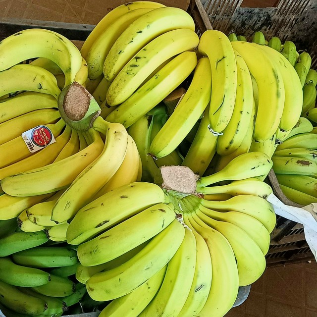Mua sỉ chuối Laba sấy dẻo chất lượng, uy tín từ Đà Lạt
