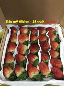 Dâu mỹ Albion