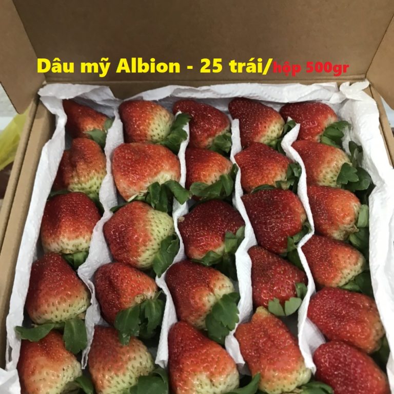 Dâu mỹ Albion