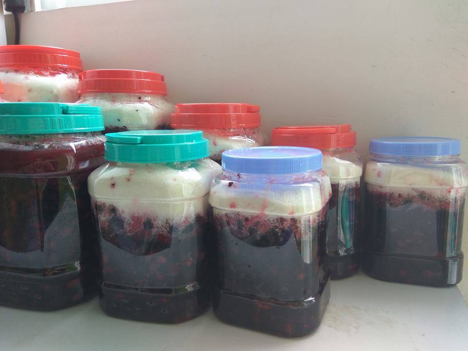 Dâu tằm Đà Lạt - Ảnh 4