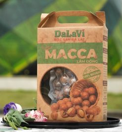 Hạt mắc ca Lâm Đồng