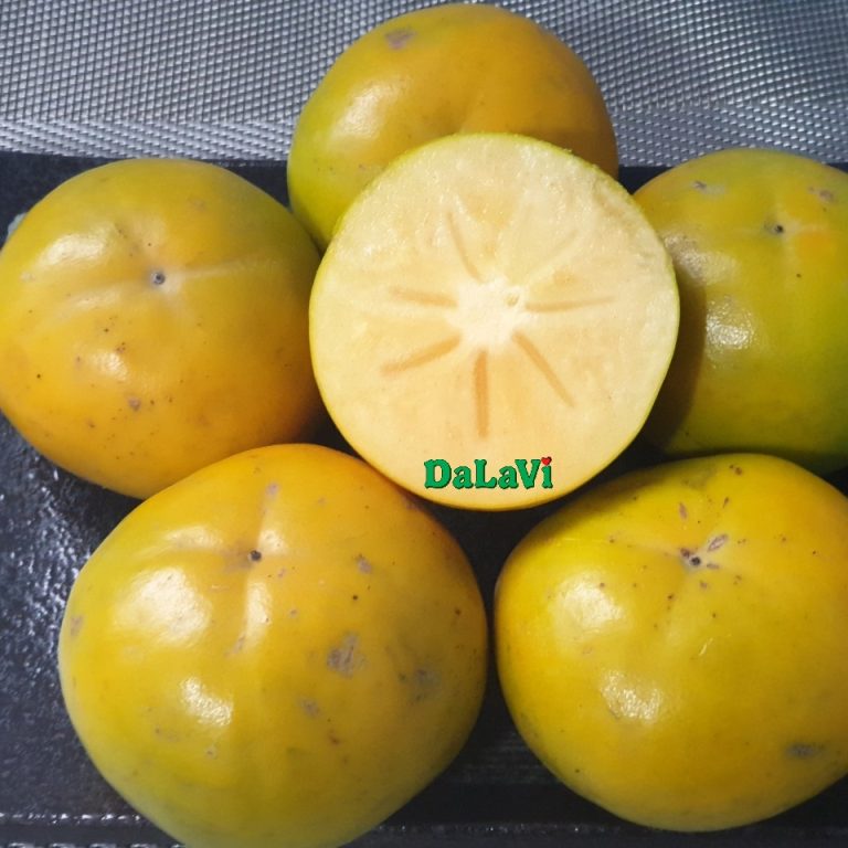Hồng giòn Fuyu
