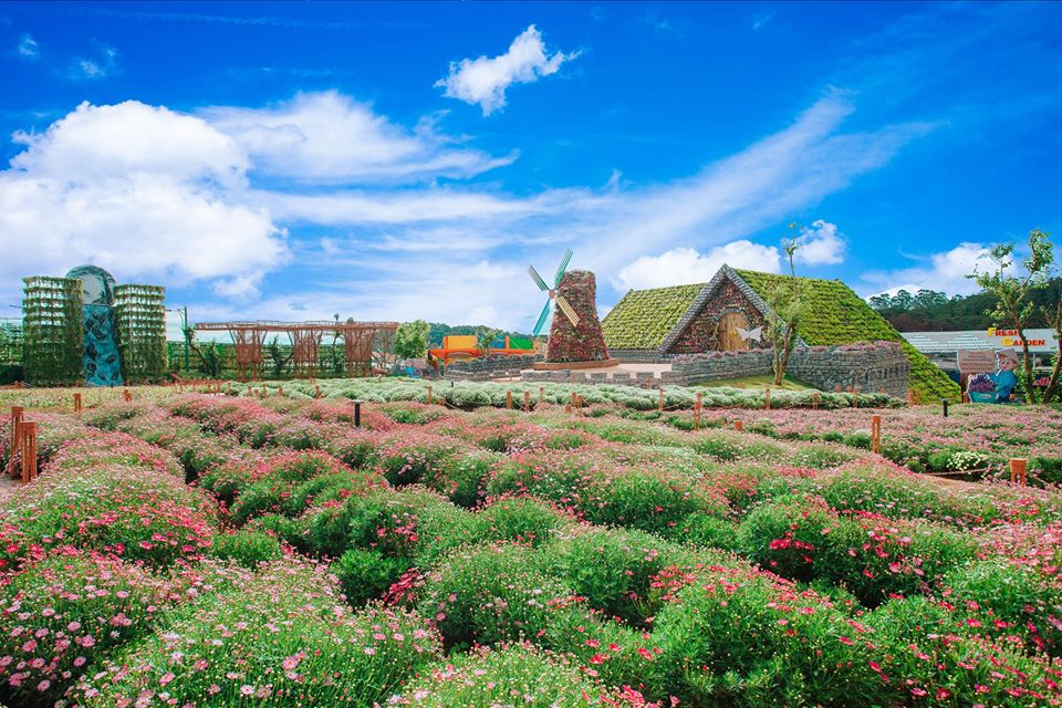 lac-vao-thien-duong-co-tich-tai-da-lat-mo-suong-10
