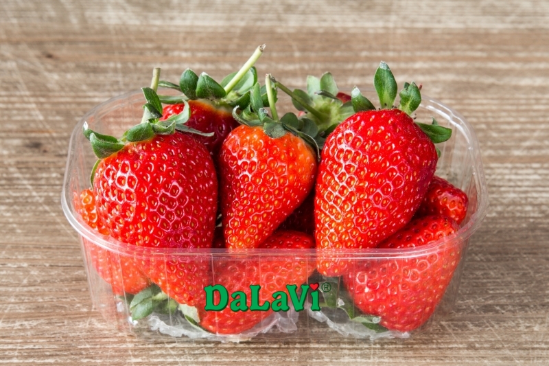 Mua sỉ dâu tây giống Nhật từ nhà vườn, chất lượng với giá ưu đãi