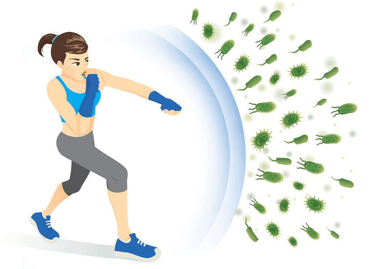 Tảo xoắn Spirulina mật ong, lựa chọn tốt cho sức khoẻ