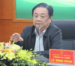 Mua hồng treo gió làm quà – Món quà ngọt ngào từ Đà Lạt