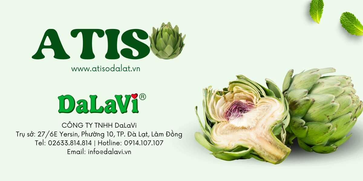 Chào mừng năm mới 2025 - DaLaVi gửi lời tri ân sâu sắc