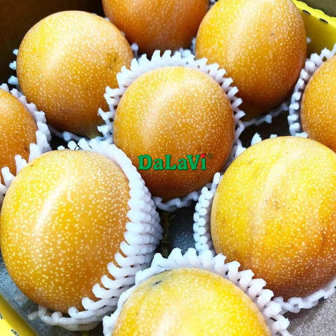Đà Lạt tháng 3 có gì hấp dẫn - Review chuẩn nhất