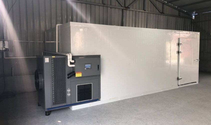 Thơm sấy muối ớt, hương vị chua ngọt, cay nhẹ cuốn hút
