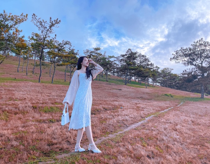 Mùa xuân Đà Lạt - Kinh nghiệm đi du lịch vào mùa này