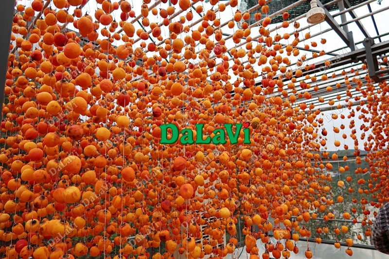 Đà Lạt tháng 3 có gì hấp dẫn - Review chuẩn nhất