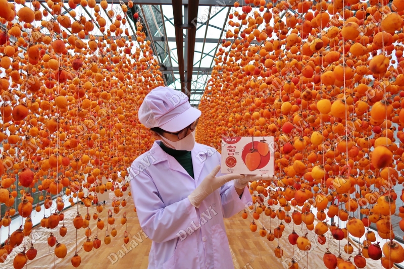 Tổng hợp đặc sản Lâm Đồng đầy đủ nhất không nên bỏ lỡ