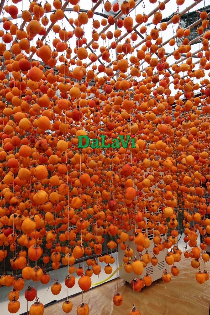 Hồng treo gió và hồng sấy dẻo - Chọn loại nào ngon nhất