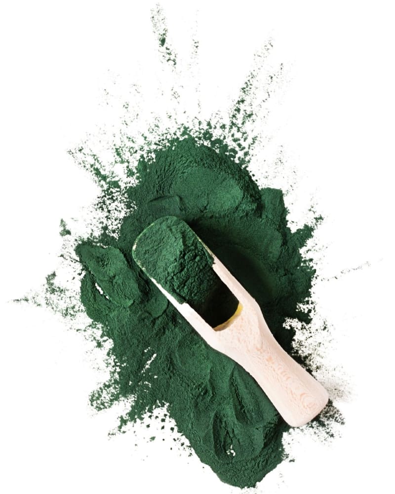 Tảo xoắn Spirulina mật ong, lựa chọn tốt cho sức khoẻ