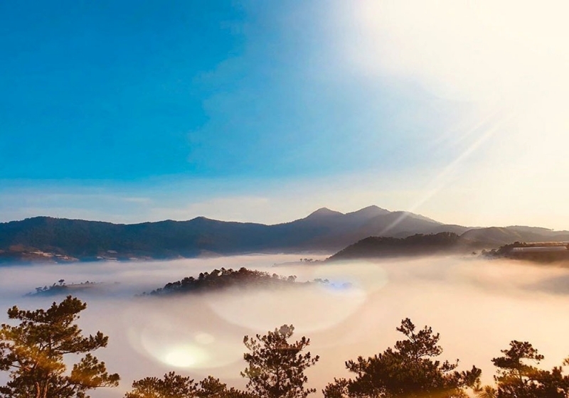 Mùa xuân Đà Lạt - Kinh nghiệm đi du lịch vào mùa này