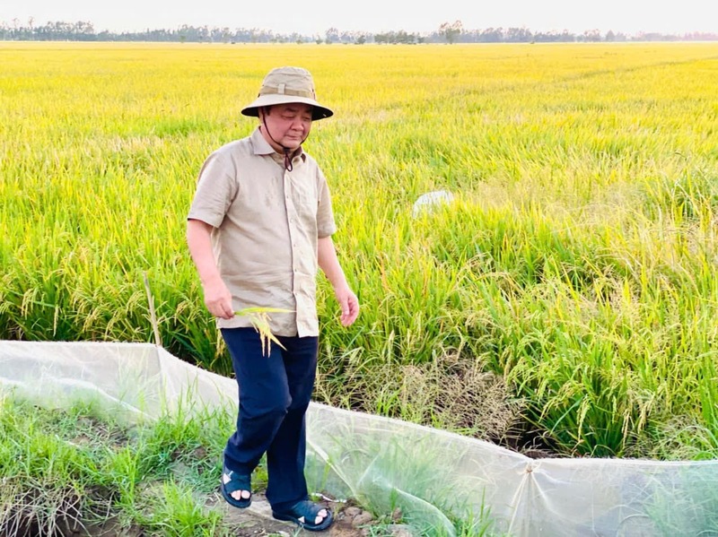 Giá sỉ hồng sấy dẻo - Chính sách giá tốt từ DaLaVi