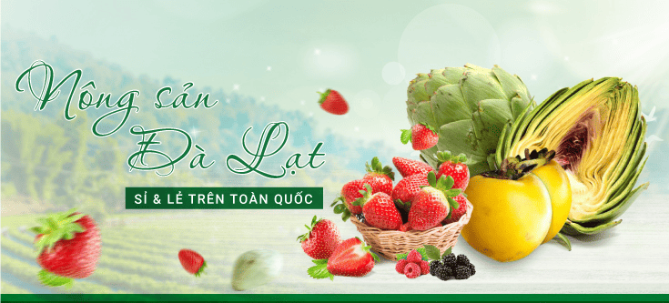 Chào mừng năm mới 2025 - DaLaVi gửi lời tri ân sâu sắc