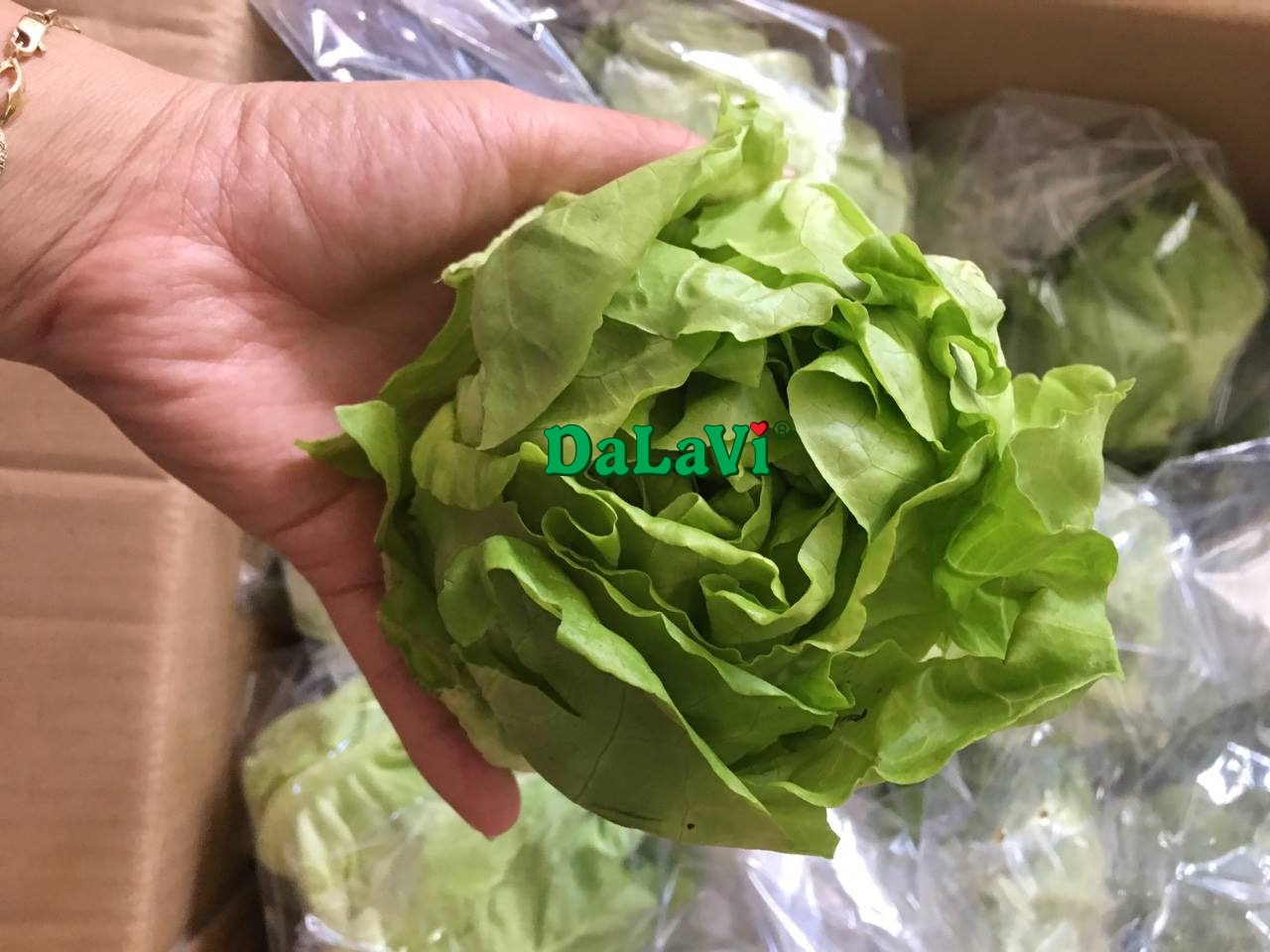Tổng hợp đặc sản Lâm Đồng đầy đủ nhất không nên bỏ lỡ