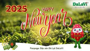 Chào mừng năm mới 2025 - DaLaVi gửi lời tri ân sâu sắc