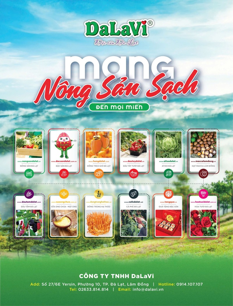 Chào mừng năm mới 2025 - DaLaVi gửi lời tri ân sâu sắc