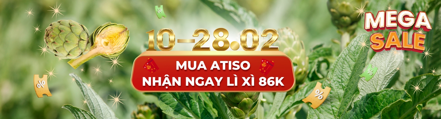 Bảo quản bông Atiso tươi lâu mà không mất đi dinh dưỡng